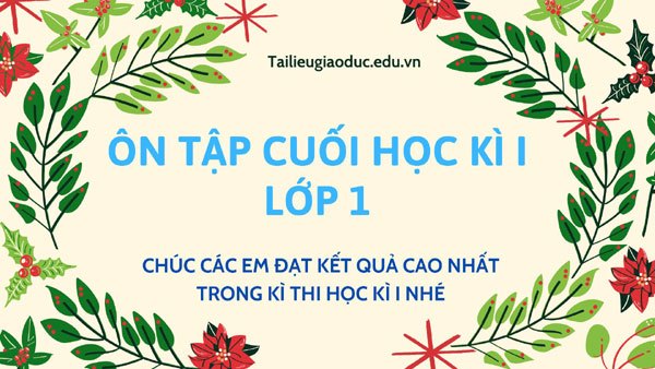 Bài tập ôn tập cuối học kì I lớp 1