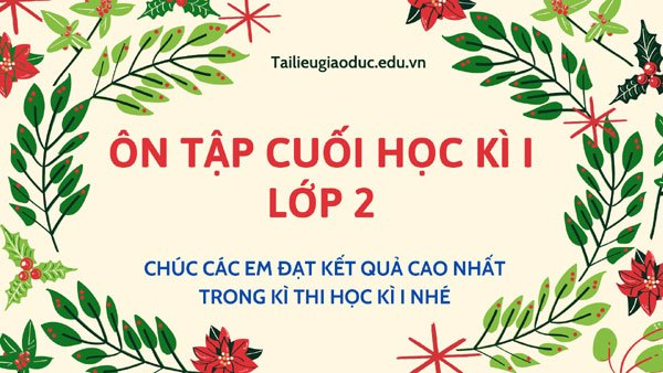 Bài tập ôn tập cuối học kì I lớp 2