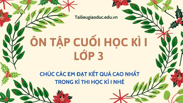 Bài tập ôn tập cuối học kì I - các môn lớp 3