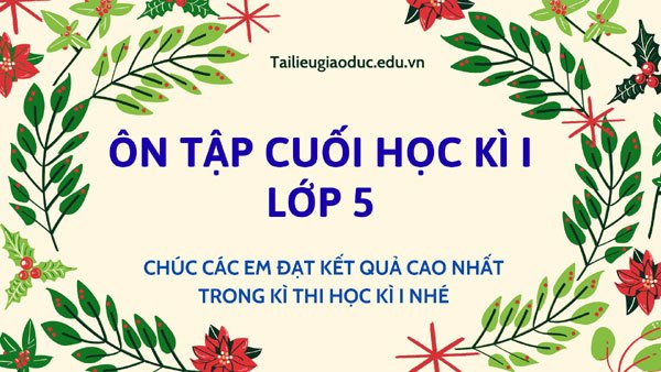Bài tập ôn tập cuối học kì I - các môn lớp 5