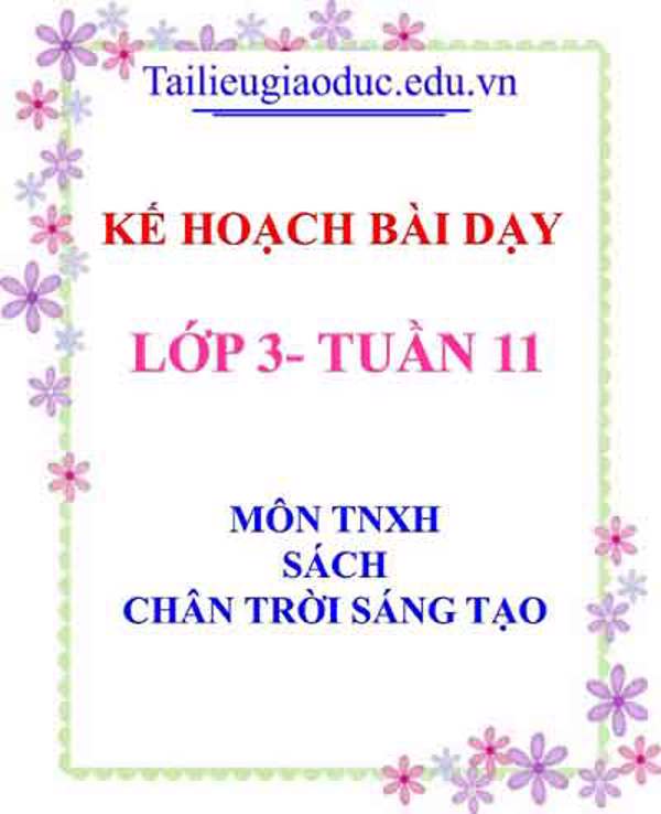 KHBD môn TNXH lớp 3 tuần 11- Sách CTST
