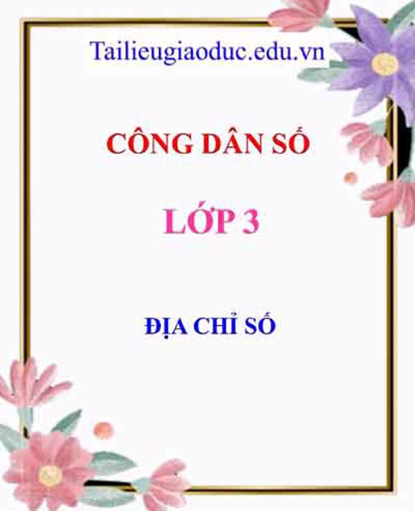 Địa chỉ số