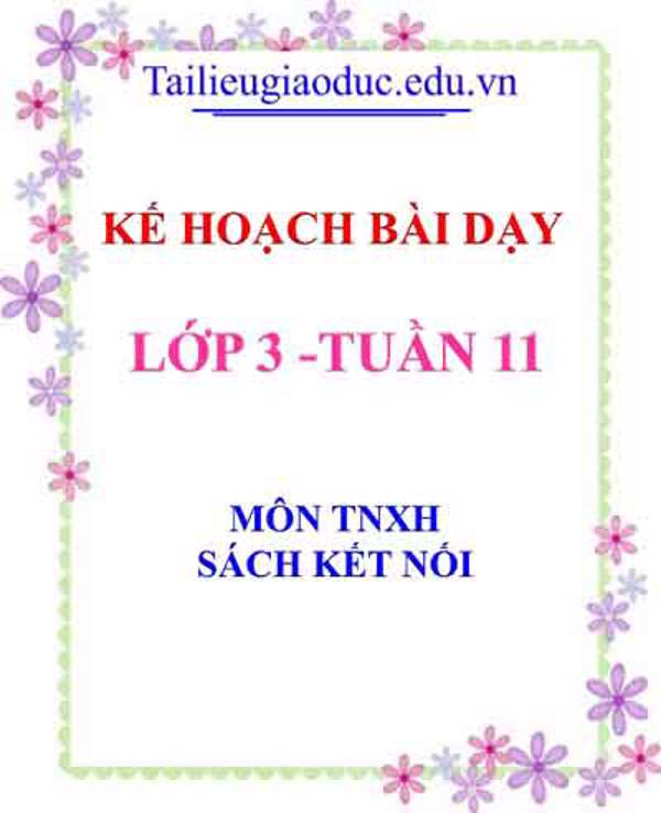 KHBD môn TNXH lớp 3 tuần 11- Sách Kết Nối