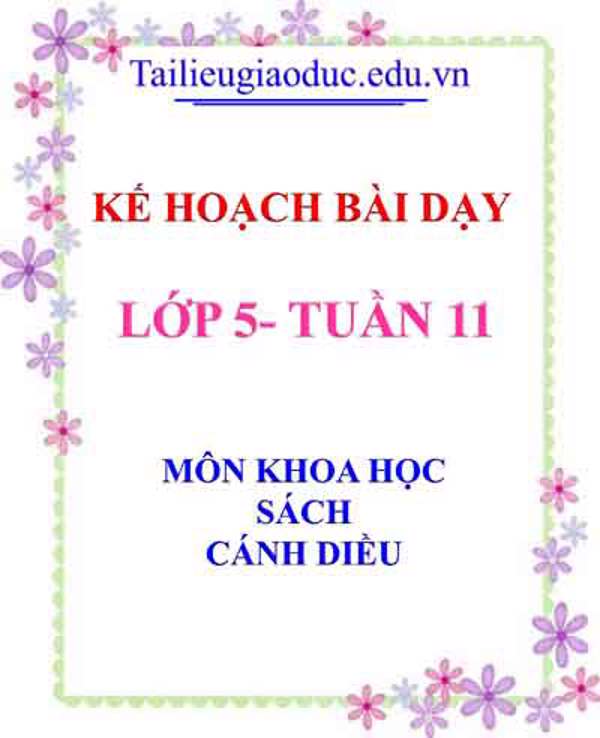 KHBD môn Khoa học lớp 5 tuần 11- Sách Cánh diều