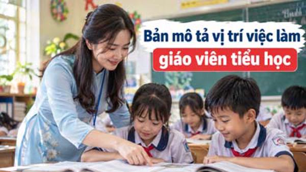 Bản mô tả vị trí việc làm đối với giáo viên tiểu học