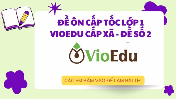 Đề ôn cấp tốc Vioedu cấp xã lớp 1 (Đề số 2)