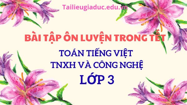 Bài tập ôn luyện trong tết lớp 3