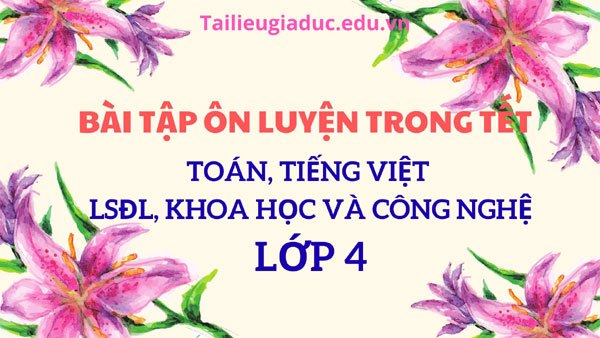 Bài tập ôn luyện trong tết lớp 4