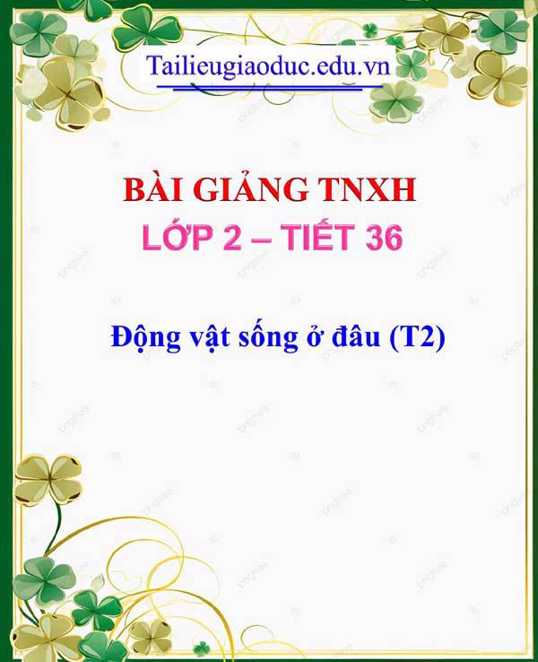 Bài giảng Động vật sống ở đâu (T2)