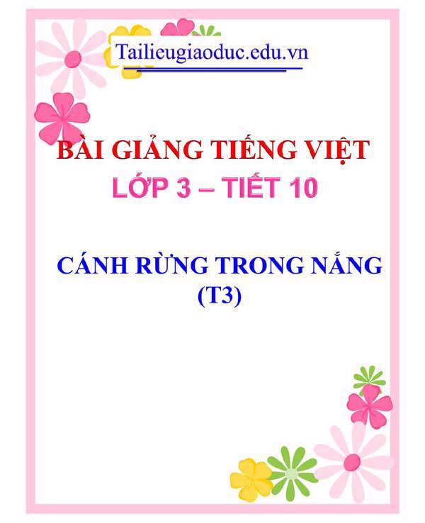 BÀI 3: CÁNH RỪNG TRONG NẮNG (T3)